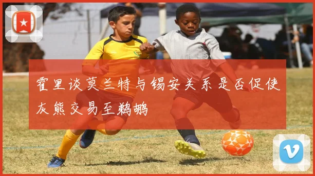 霍里谈莫兰特与锡安关系是否促使灰熊交易至鹈鹕