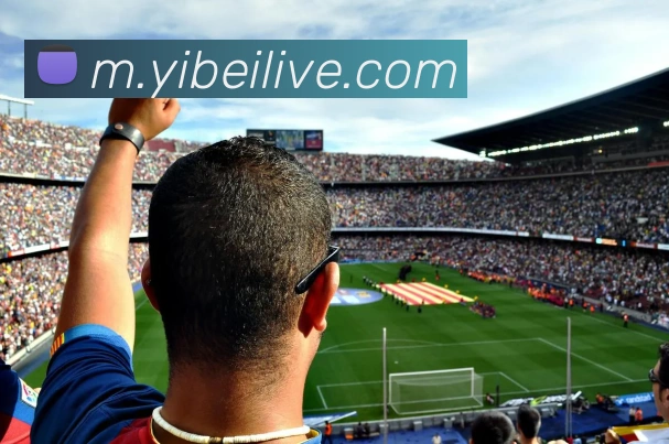 App Interface Preview