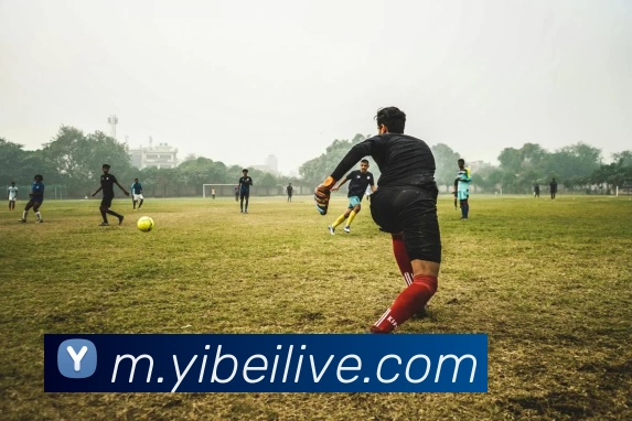 易倍体育APP 封面图