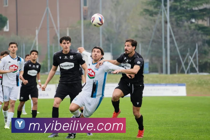 数据防护可视化